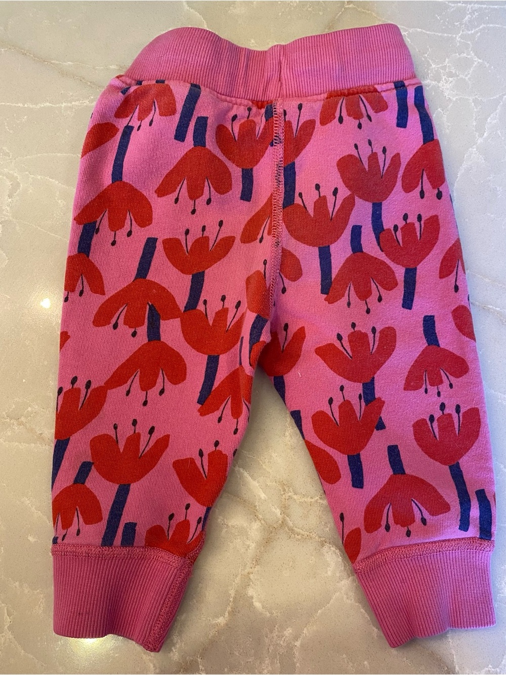 Hanna Andersson Pink Joggers with Red Floral Print - Picture 3 of 3